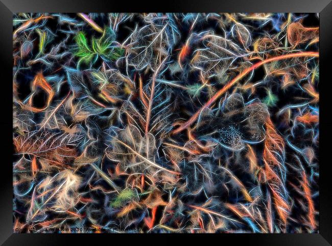 Abstracted Leaves Framed Print by Iain Mavin
