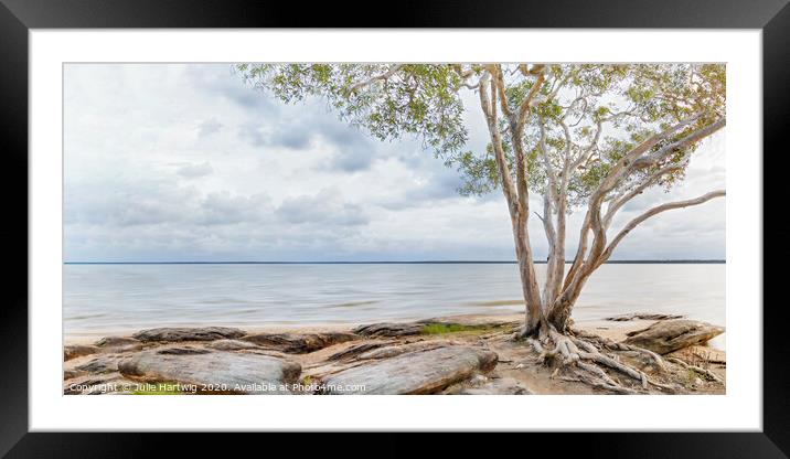 Lake Cootharaba Framed Mounted Print by Julie Hartwig