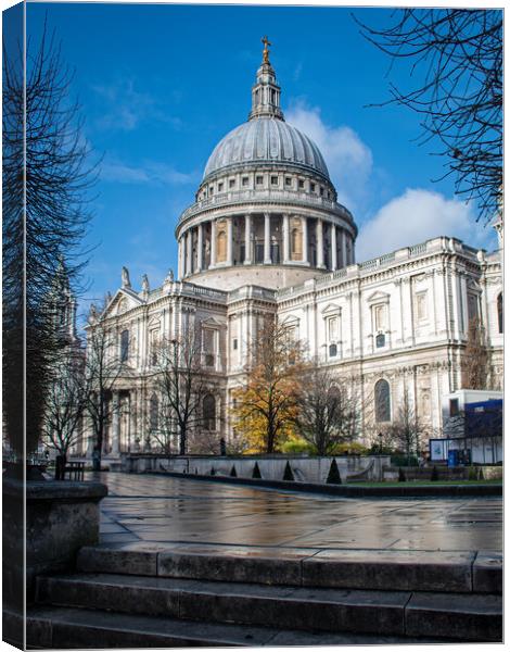 St Pauls Cathedral  Canvas Print by Vicky Outen