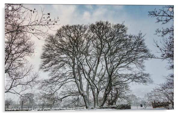 Winter Silhouettes Trio Acrylic by Richard Laidler