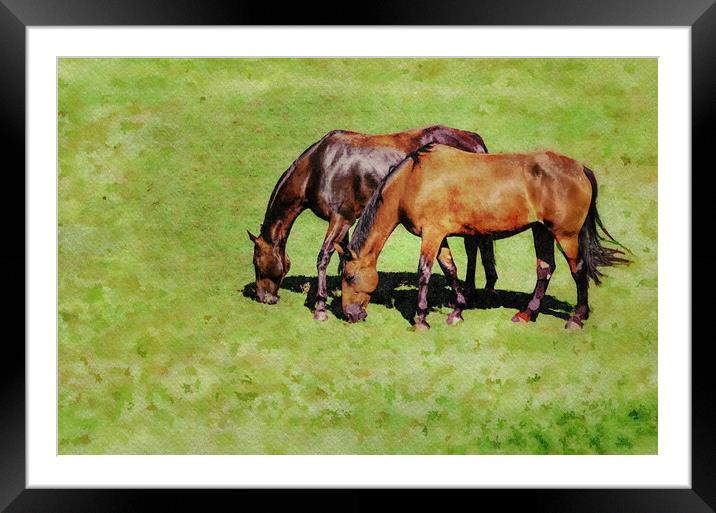 Digital water color of two brown horses Framed Mounted Print by Steve Heap