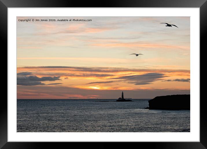 Early birds over St Mary's Island Framed Mounted Print by Jim Jones