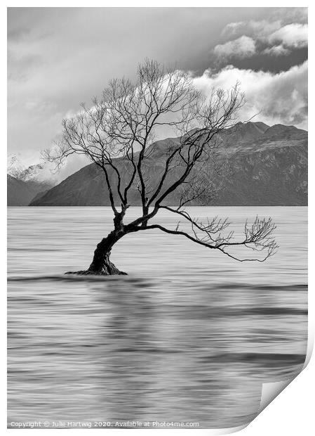 The Wanaka Tree Print by Julie Hartwig