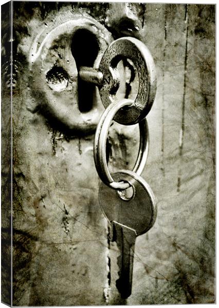 locked Canvas Print by Heather Newton