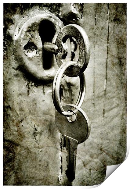 locked Print by Heather Newton