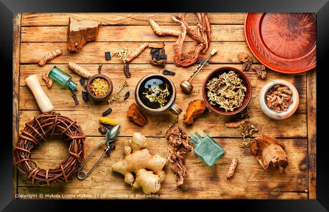 Tea and a set of medicinal herbs Framed Print by Mykola Lunov Mykola