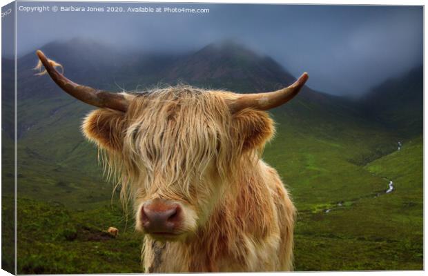 Highland Cow and Skye Weather Scotland Canvas Print by Barbara Jones