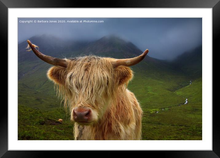 Highland Cow and Skye Weather Scotland Framed Mounted Print by Barbara Jones