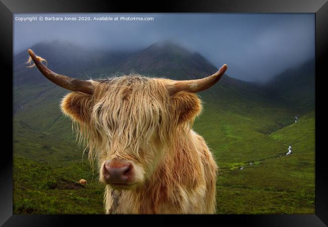 Highland Cow and Skye Weather Scotland Framed Print by Barbara Jones