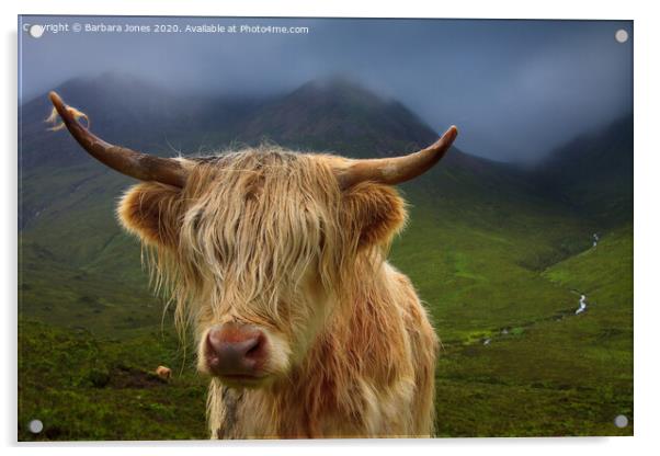 Highland Cow and Skye Weather Scotland Acrylic by Barbara Jones