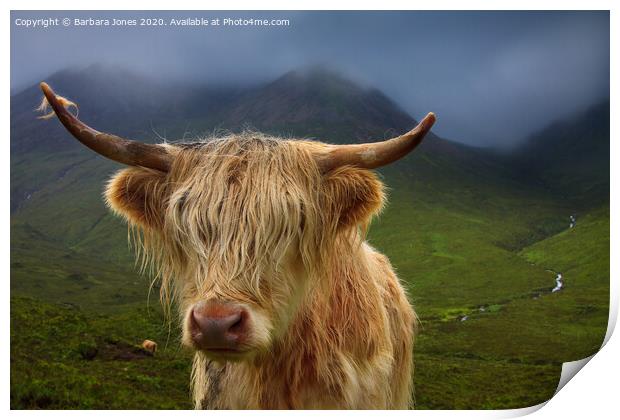Highland Cow and Skye Weather Scotland Print by Barbara Jones