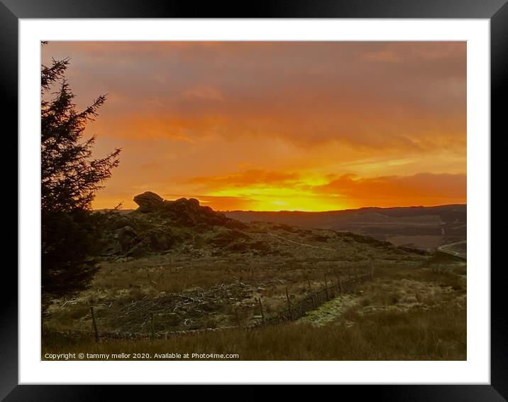 Majestic Sunset over Black Brook Framed Mounted Print by tammy mellor