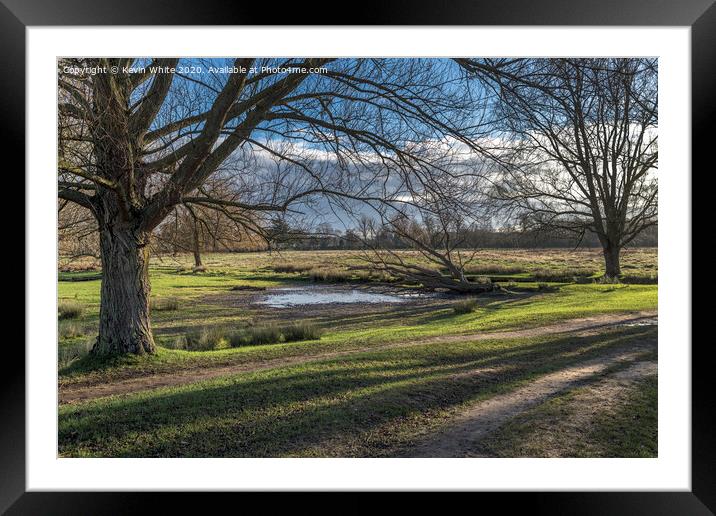 long shadows at Bushy Park Framed Mounted Print by Kevin White