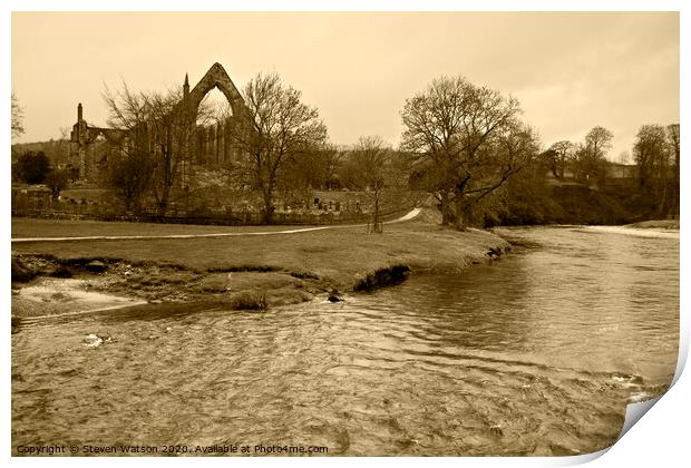The River Wharfe and Bolton Priory (Monochrome) Print by Steven Watson