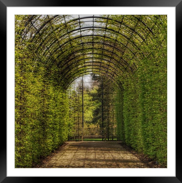 Alnwick Gardens Arbor  Framed Mounted Print by Jacqui Farrell