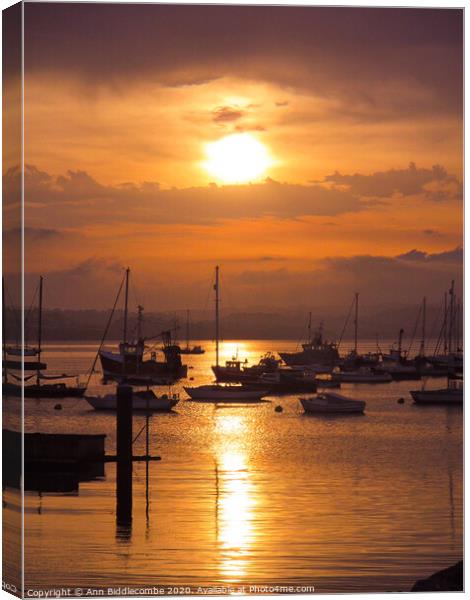 Sunset over Brixham outer harbor Canvas Print by Ann Biddlecombe