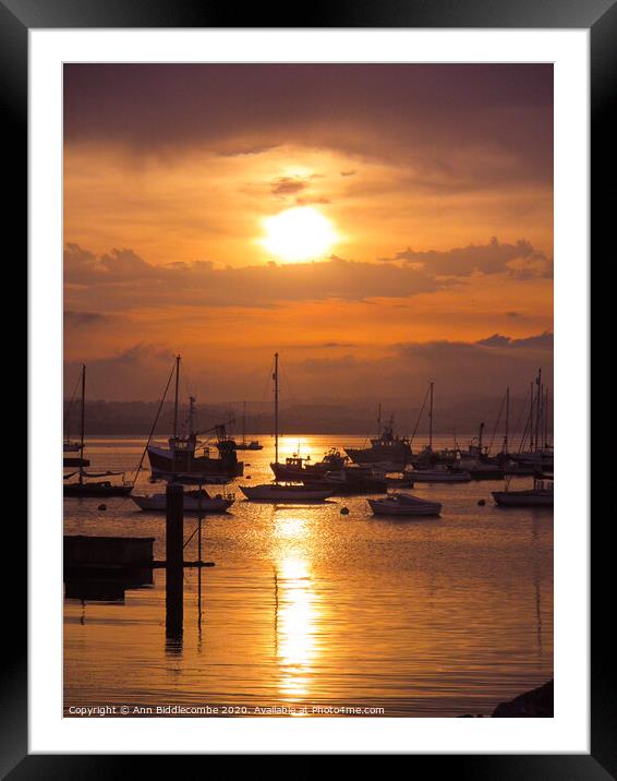 Sunset over Brixham outer harbor Framed Mounted Print by Ann Biddlecombe