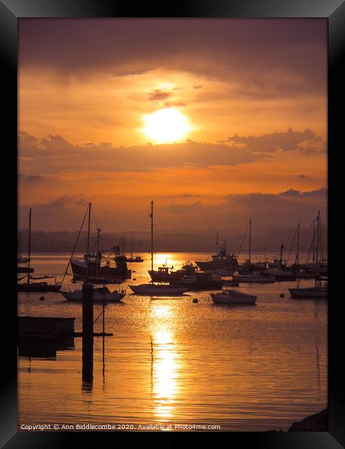 Sunset over Brixham outer harbor Framed Print by Ann Biddlecombe