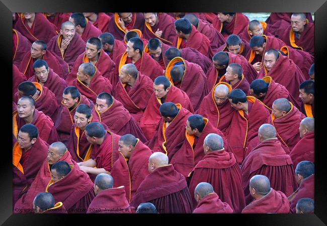 A Gathering of Tibetan Monks  Framed Print by Alexandra Lavizzari
