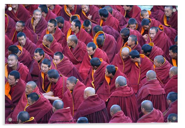 A Gathering of Tibetan Monks  Acrylic by Alexandra Lavizzari