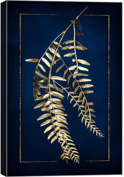 Golden Pepper Tree Canvas Print by Steffen Gierok-Latniak