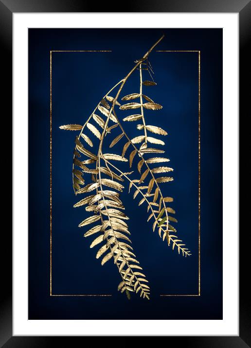 Golden Pepper Tree Framed Mounted Print by Steffen Gierok-Latniak