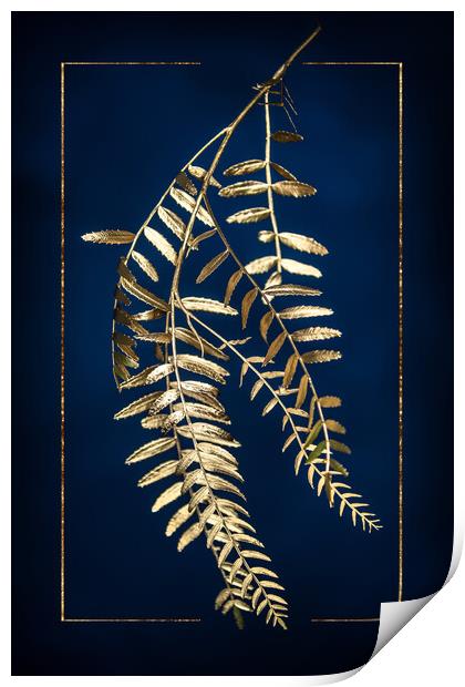 Golden Pepper Tree Print by Steffen Gierok-Latniak