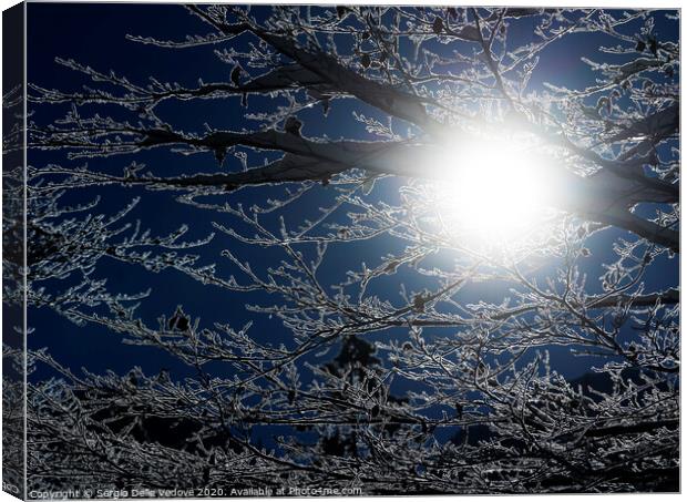 sun's rays in winter Canvas Print by Sergio Delle Vedove