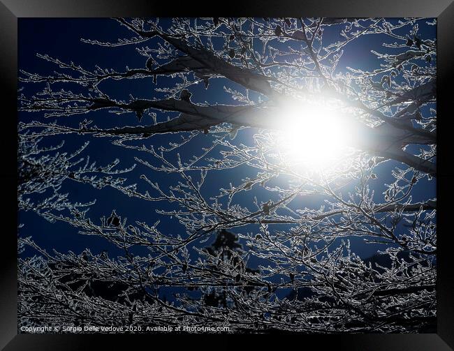 sun's rays in winter Framed Print by Sergio Delle Vedove