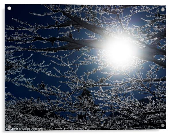 sun's rays in winter Acrylic by Sergio Delle Vedove