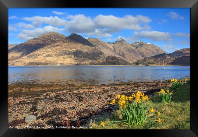 Five Sisters of Kintail  across Loch Duich Framed Print by David Morton