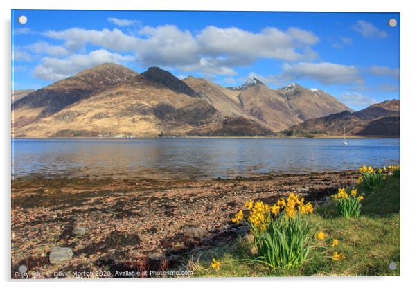 Five Sisters of Kintail  across Loch Duich Acrylic by David Morton