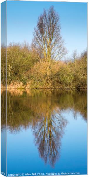 Tree Reflection in Lake Canvas Print by Allan Bell