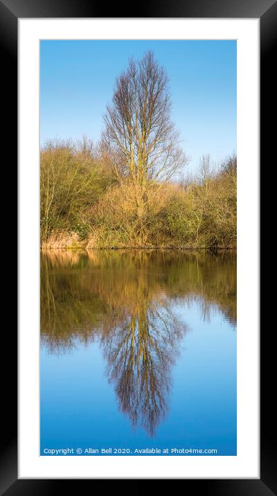 Tree Reflection in Lake Framed Mounted Print by Allan Bell
