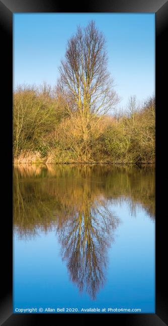 Tree Reflection in Lake Framed Print by Allan Bell