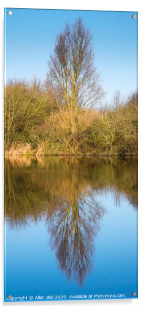 Tree Reflection in Lake Acrylic by Allan Bell