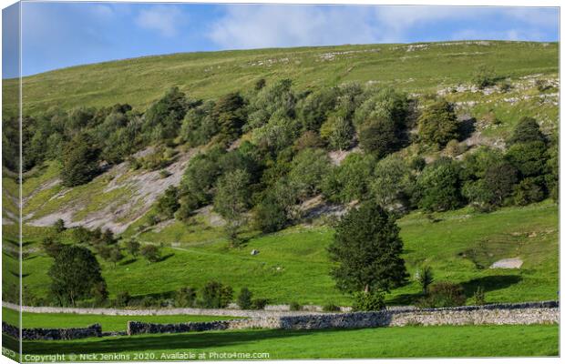 Fell Above Buckden in Upper Wharfedale Yorkshire  Canvas Print by Nick Jenkins