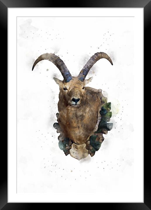 Hunting Trophy hanging on the chalet wall at Galtü Framed Mounted Print by Ankor Light