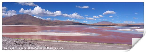 Colorful Red Lake, Laguna Colorada, Bolivia Print by Imladris 