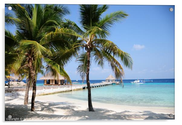 Tropical Beach with Palms 1 Acrylic by Jenny Rainbow