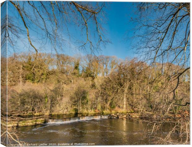 The River Tees at Whorlton Xmas Day 2020 Canvas Print by Richard Laidler