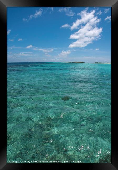 House Coral Reef in Maldivian Island Framed Print by Jenny Rainbow