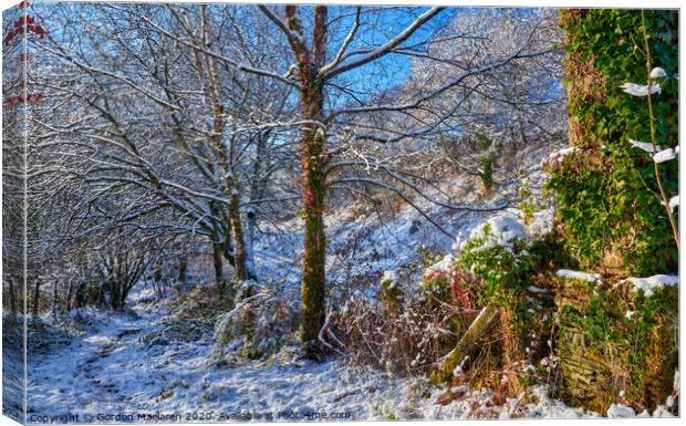 Winter Woodland Scene Canvas Print by Gordon Maclaren