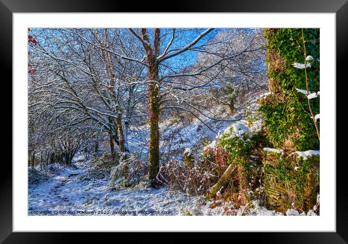 Winter Woodland Scene Framed Mounted Print by Gordon Maclaren