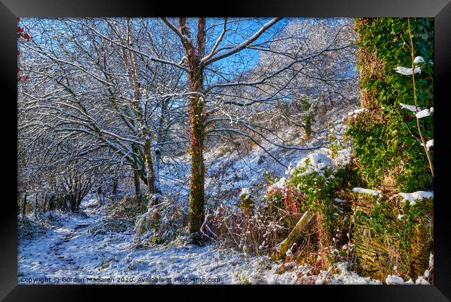 Winter Woodland Scene Framed Print by Gordon Maclaren