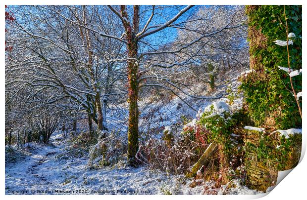 Winter Woodland Scene Print by Gordon Maclaren