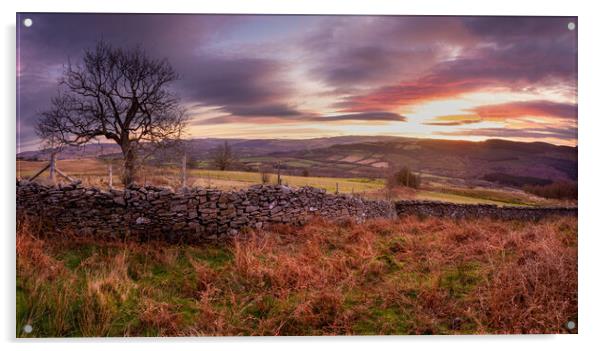 Dawn on the Gwrhyd mountain Acrylic by Leighton Collins