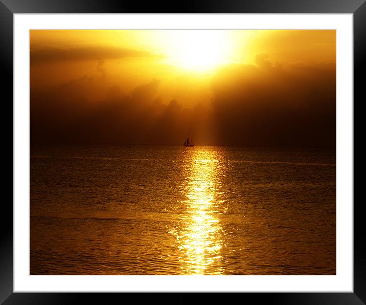Sunset Cruise Framed Mounted Print by Alexandra Hall