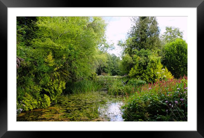 Monet Water Garden  Framed Mounted Print by Jacqui Farrell
