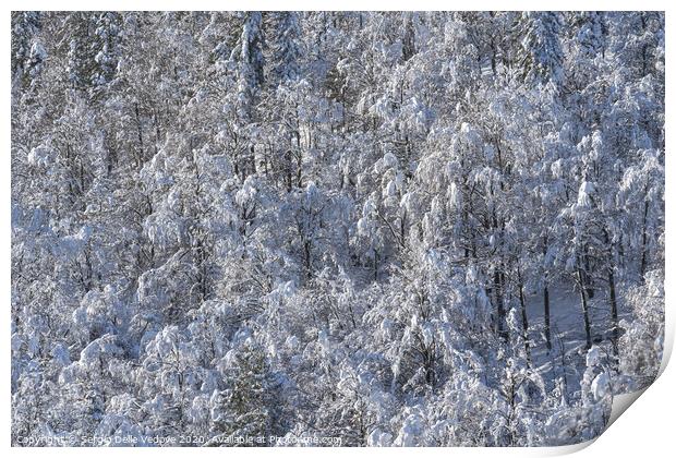 forest in winter Print by Sergio Delle Vedove